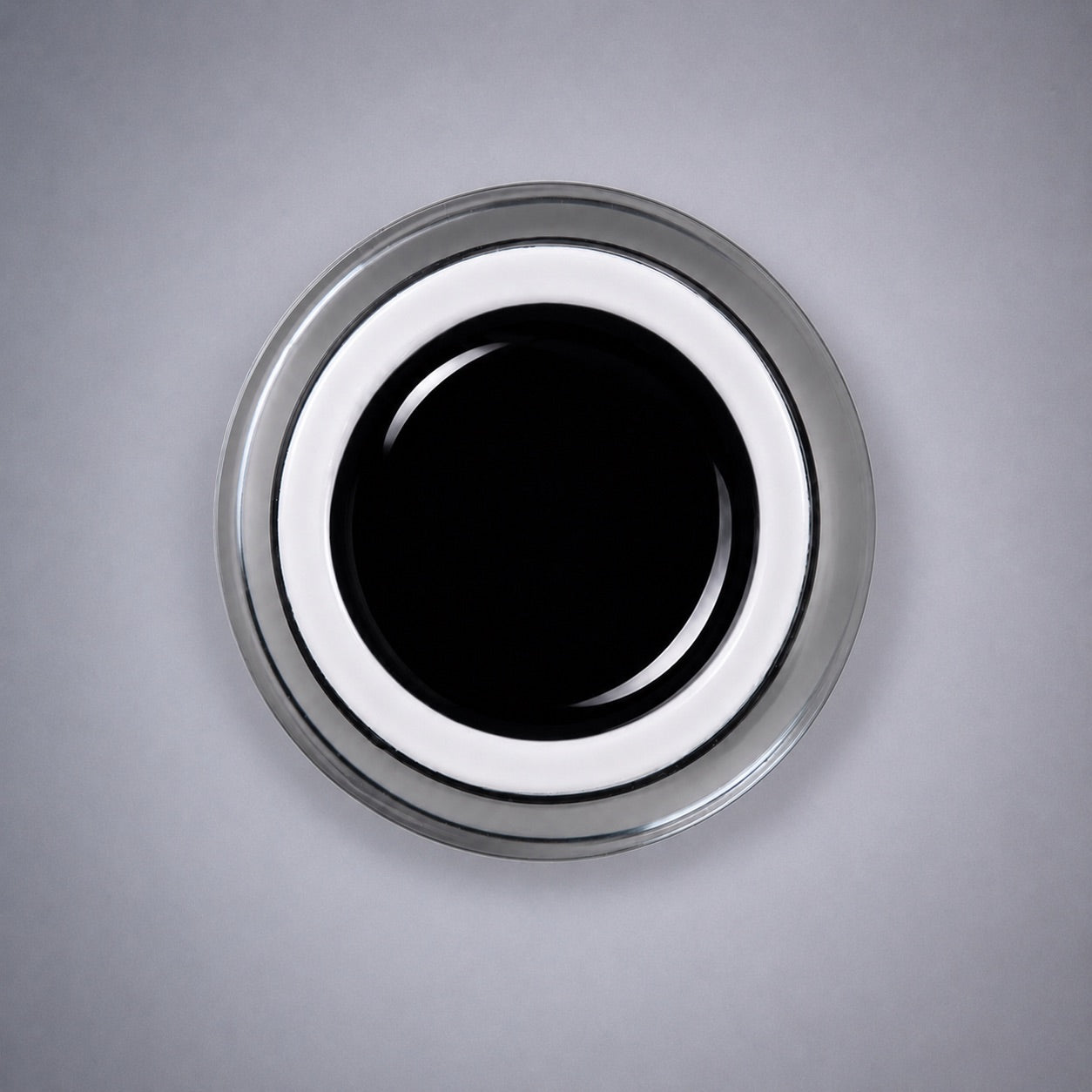 Pure Pigment Paint - Black